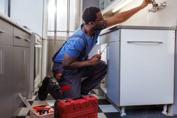  Washoe Valley, NV Plumbing services Pros